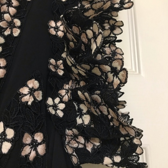 Stunning Giambattista Valli X H&M chiffon Dress - Picture 9 of 16